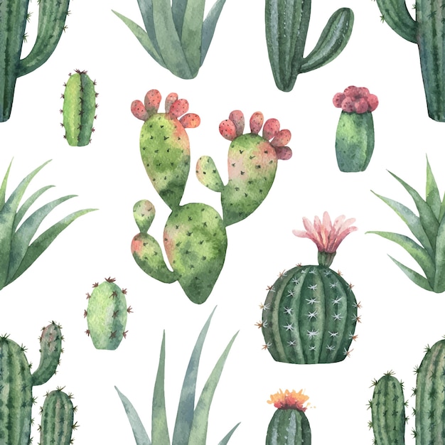 Watercolor seamless pattern of cacti and succulent plants isolated on white background