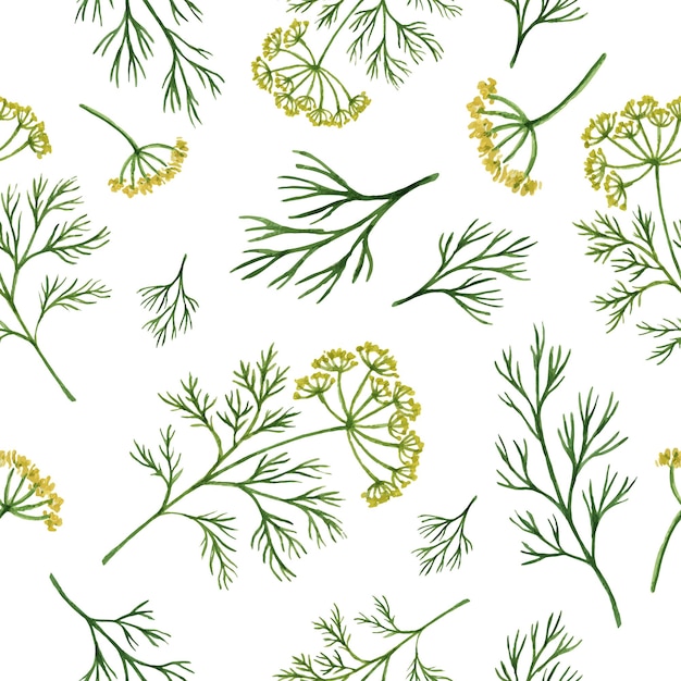 Watercolor seamless pattern hand drawn herb dill