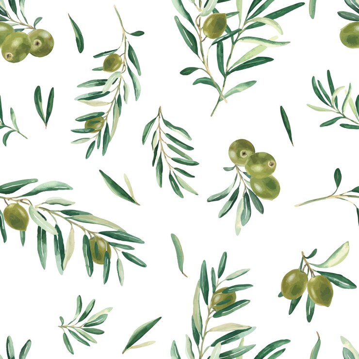 Vector watercolor seamless pattern with branches of green olives on a white background can be used for