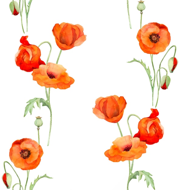 Watercolor seamless pattern with hand drawn summer bright red poppy flowers Isolated on white background Design for invitations wedding love or greeting cards paper print textile
