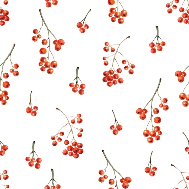 Watercolor seamless pattern with rowan branches, red berries.