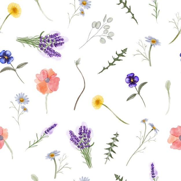 Watercolor seamless pattern with wildflowers Herbs and wild botanical flowers