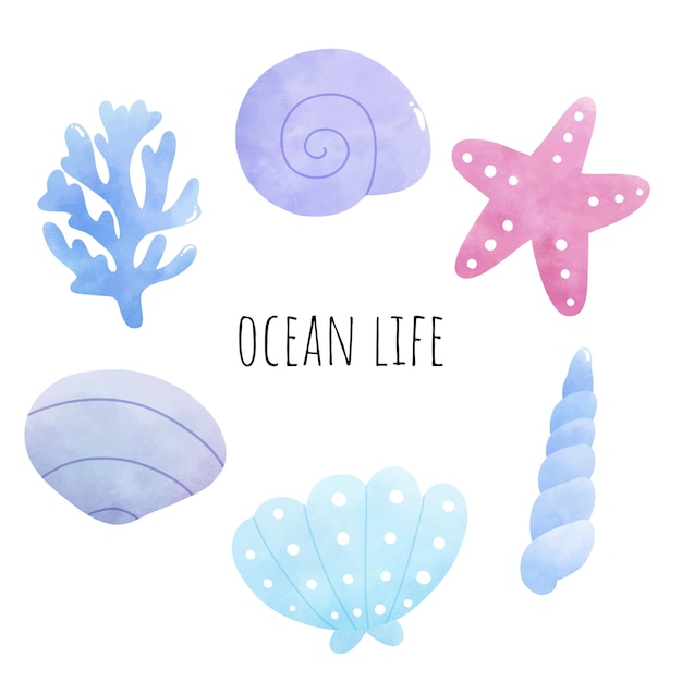 Watercolor seashell and corals illustration Vector