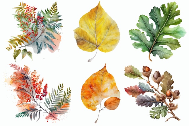 Watercolor Set of autumn Leaves Handdrawn illustration isolated on white background in boho style