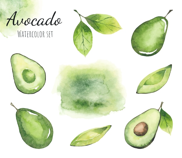 Watercolor set of avocado elements and watercolor green stain