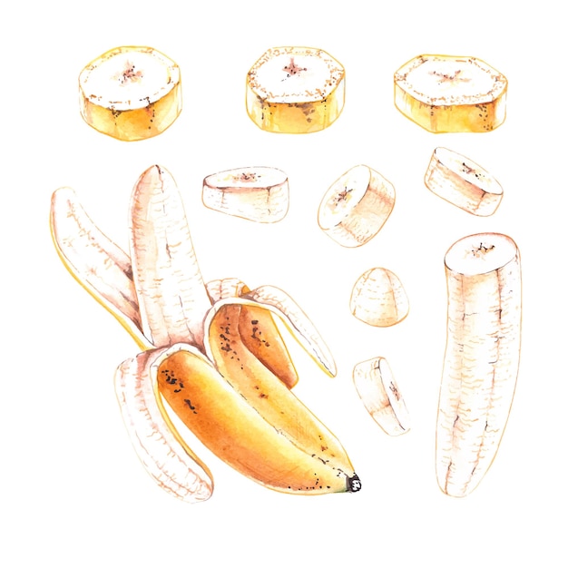 Watercolor set of bananas