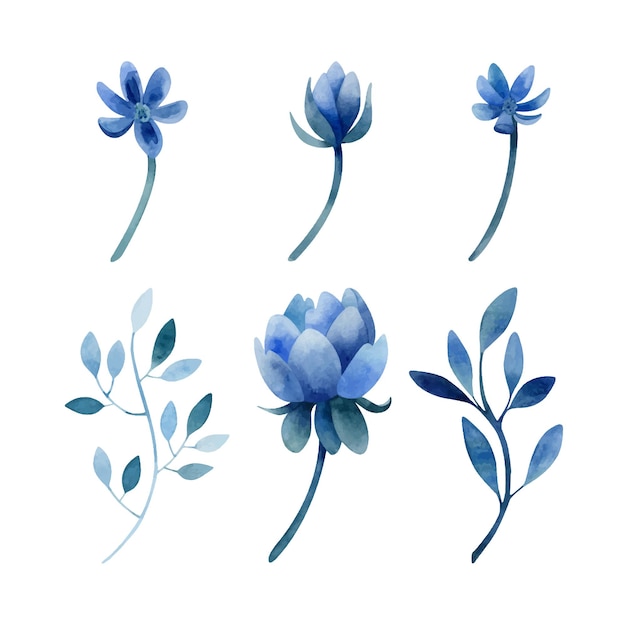 Watercolor set of blue flowers and branches Hand drawn botanical clipart