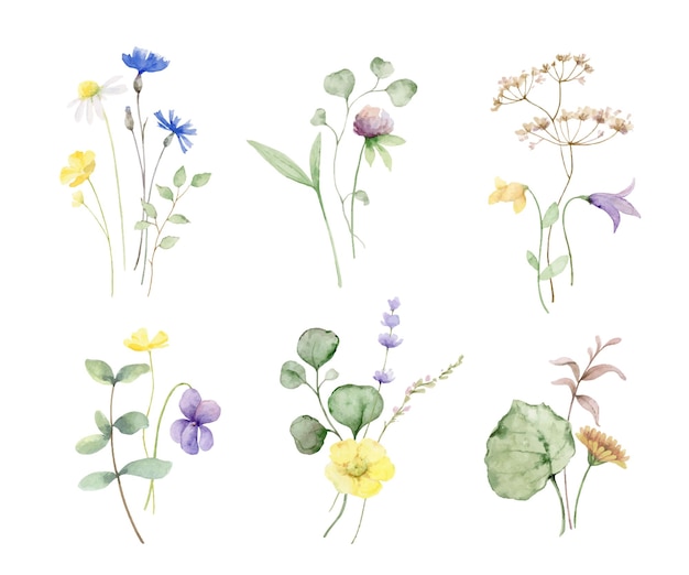 Vector watercolor set of bouquets of meadow flowers and leaves