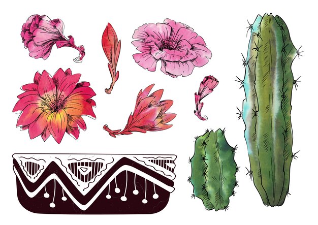 Vector watercolor set of cacti