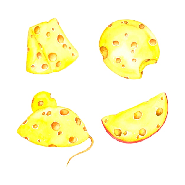 Watercolor set of cheese