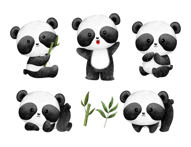 Watercolor set of cute baby panda and bamboo leaves