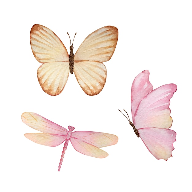 Watercolor set of cute insects