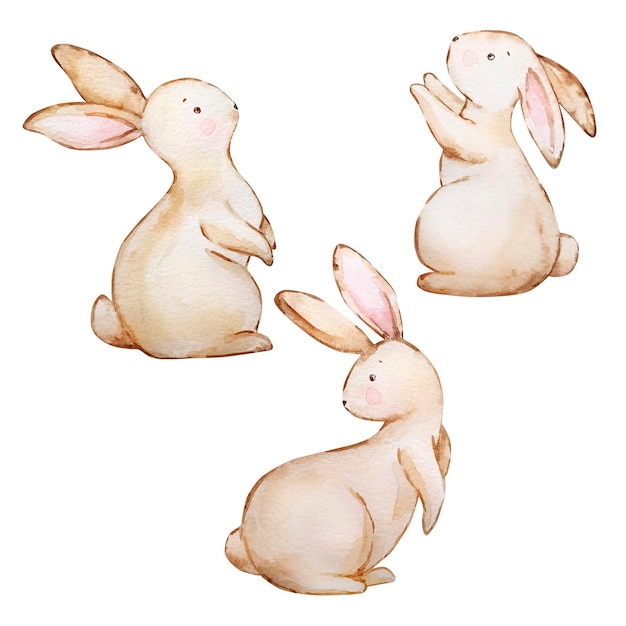 Vector watercolor set of easter bunniesxa