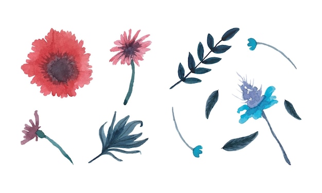 Vector watercolor set of flowers on white background