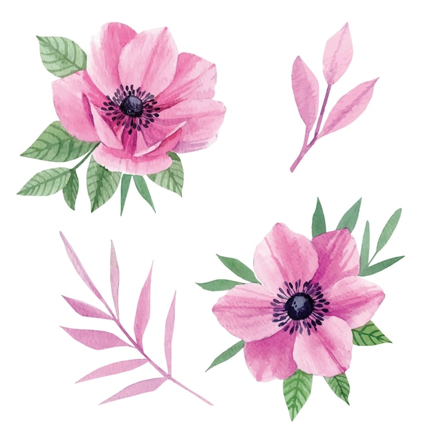 Vector watercolor set of flowers