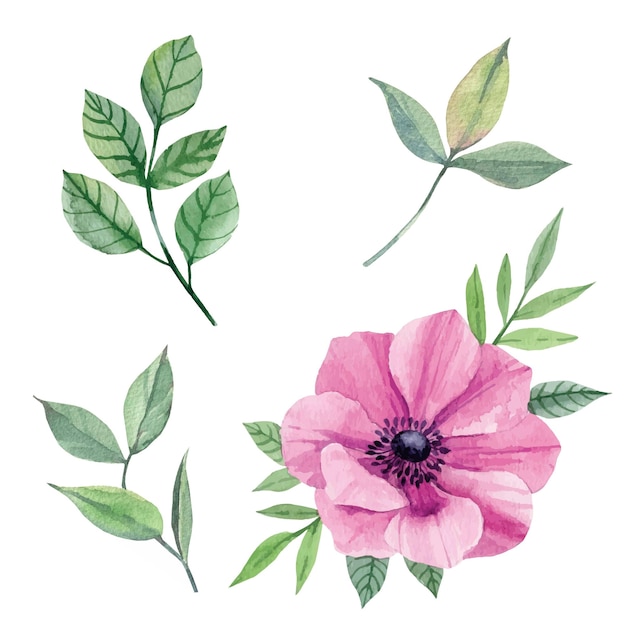 Vector watercolor set of flowers