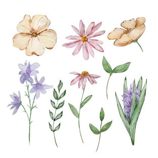 Vector watercolor set of garden flowers