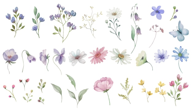 Watercolor set Hand drawn illustration with cornflowers chamomile wildflowers Vector EPS