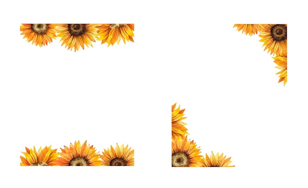 Vector watercolor set of hand drawn sunflower frames