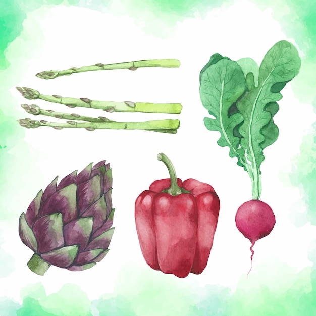 Watercolor set of healthy vegetables