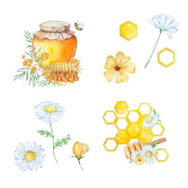 Watercolor set honey honeycombs and daisies