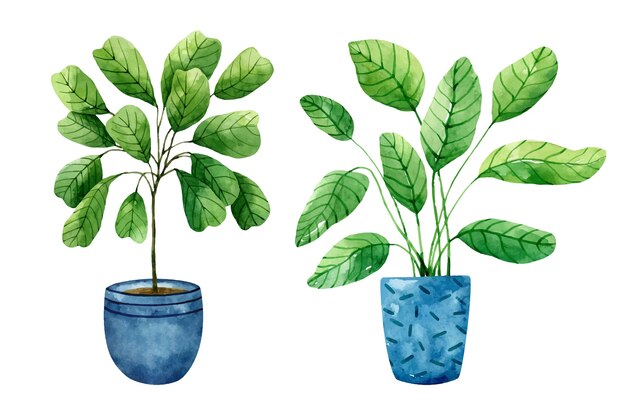 Vector watercolor set of indoor plants in blue flower pots isolated on white background