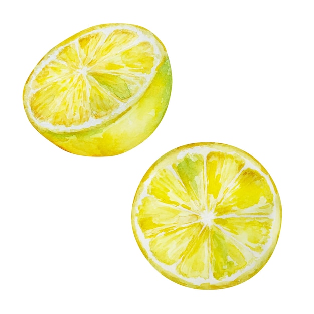 watercolor set of juicy yellow mediterranean lemons