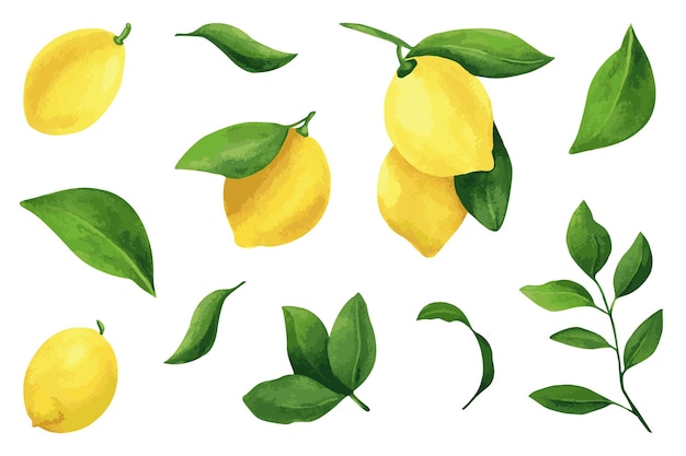 Watercolor set lemons with leaves