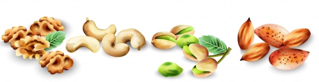 Watercolor set of organic nuts