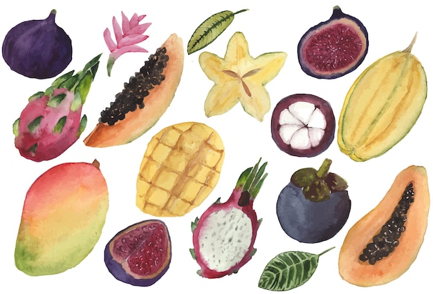 Watercolor set of tropical fruits hand painted