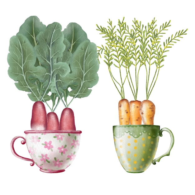 Watercolor set of vegetables in cups