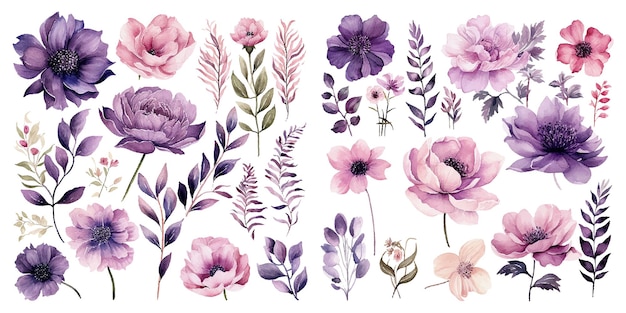 Vettore acquerello set fiorito clipart floreale