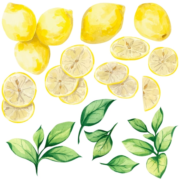 Set acquerello con singoli elementi di limone e foglie