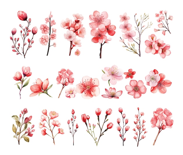 Watercolor set with pink wild spring flowers for Valentines day romantic illustration