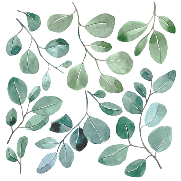 watercolor set with tropical eucalyptus leaves on a white background. simple abstract print