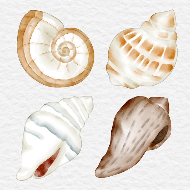 Vector watercolor shellfish collection element set