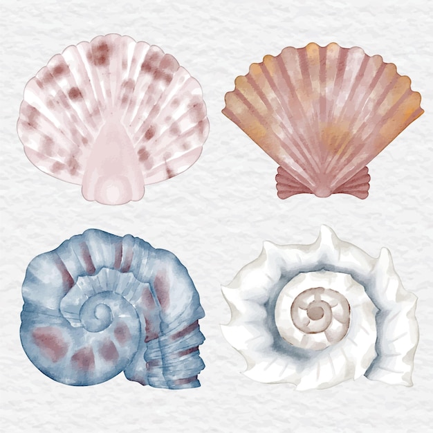 Watercolor shellfish element set