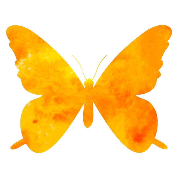 Vector watercolor silhouette butterfly orange