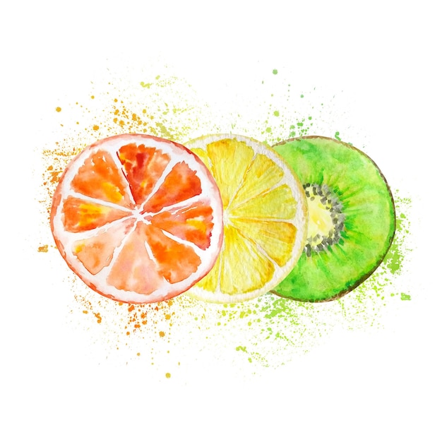 Watercolor slices of lemon orange and kiwi