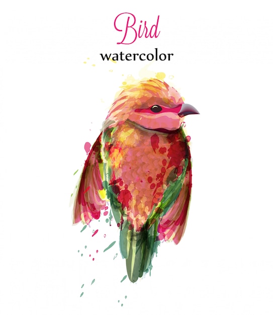 Watercolor small bird