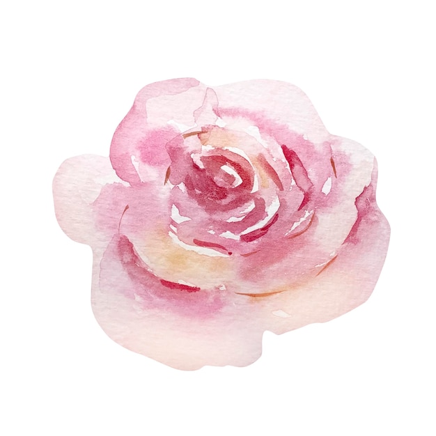 Watercolor spring blooming flower