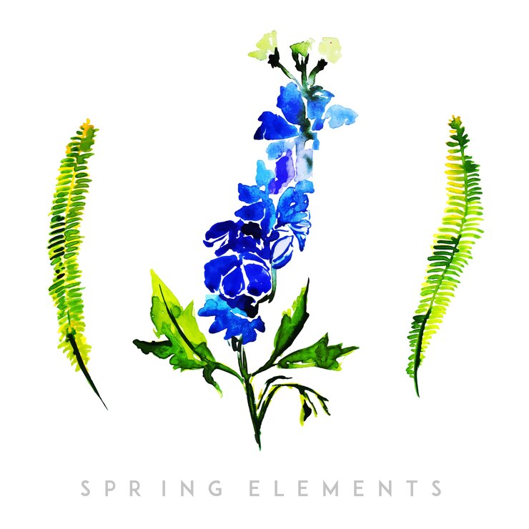 Vector watercolor spring floral collection