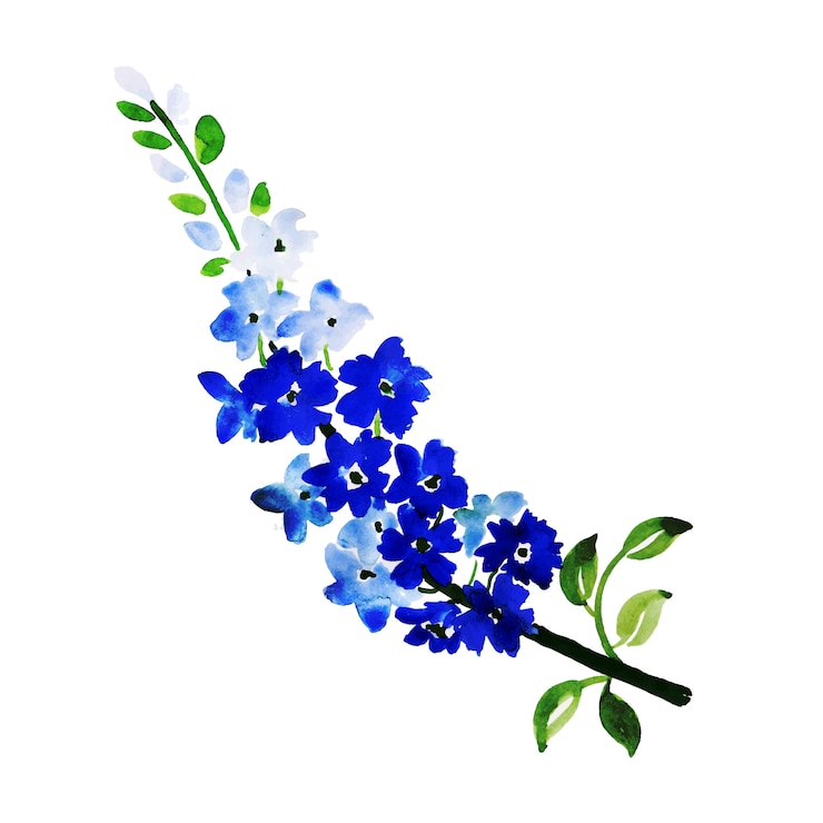 Vector watercolor spring floral element
