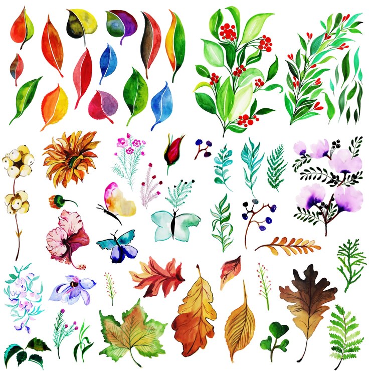 Watercolor Spring Floral and Leaves Collection