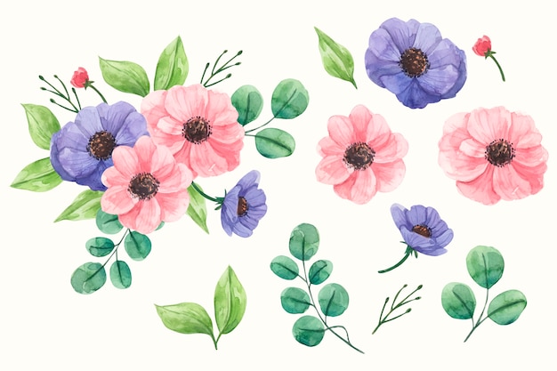 Vector watercolor spring flower collection