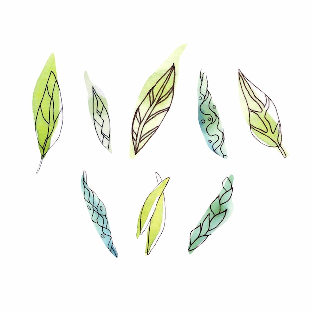 Watercolor Spring green leaves set