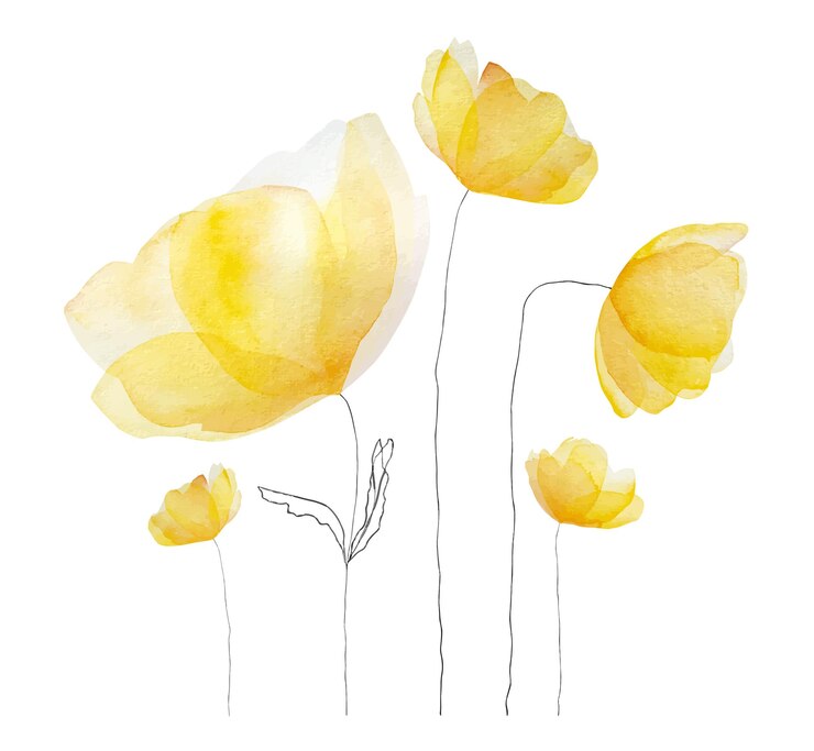 Watercolor spring summer flowers blossom tender yellow floral bouquet for decoration and postcard