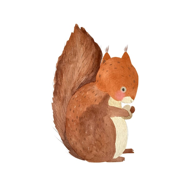 Watercolor squirrel illustration for kids