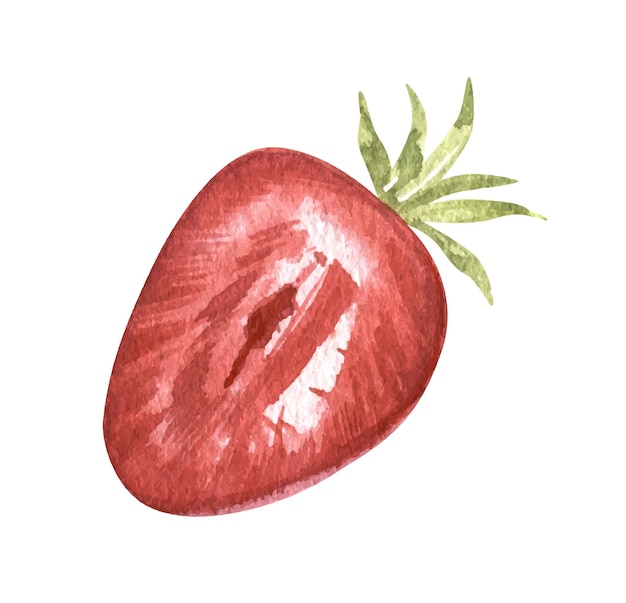 watercolor strawberries clipart fresh ripe berry summer food hand drawn illustration