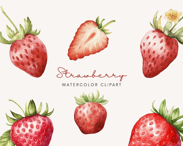 watercolor strawberry collection